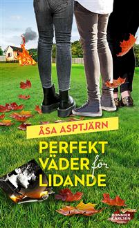 perfekt-vader-for-lidande